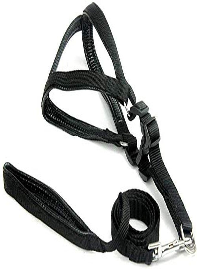 Skora Soft Padded Body Set-Leash & Harness- 0.75 - Black - Medium - Image 1